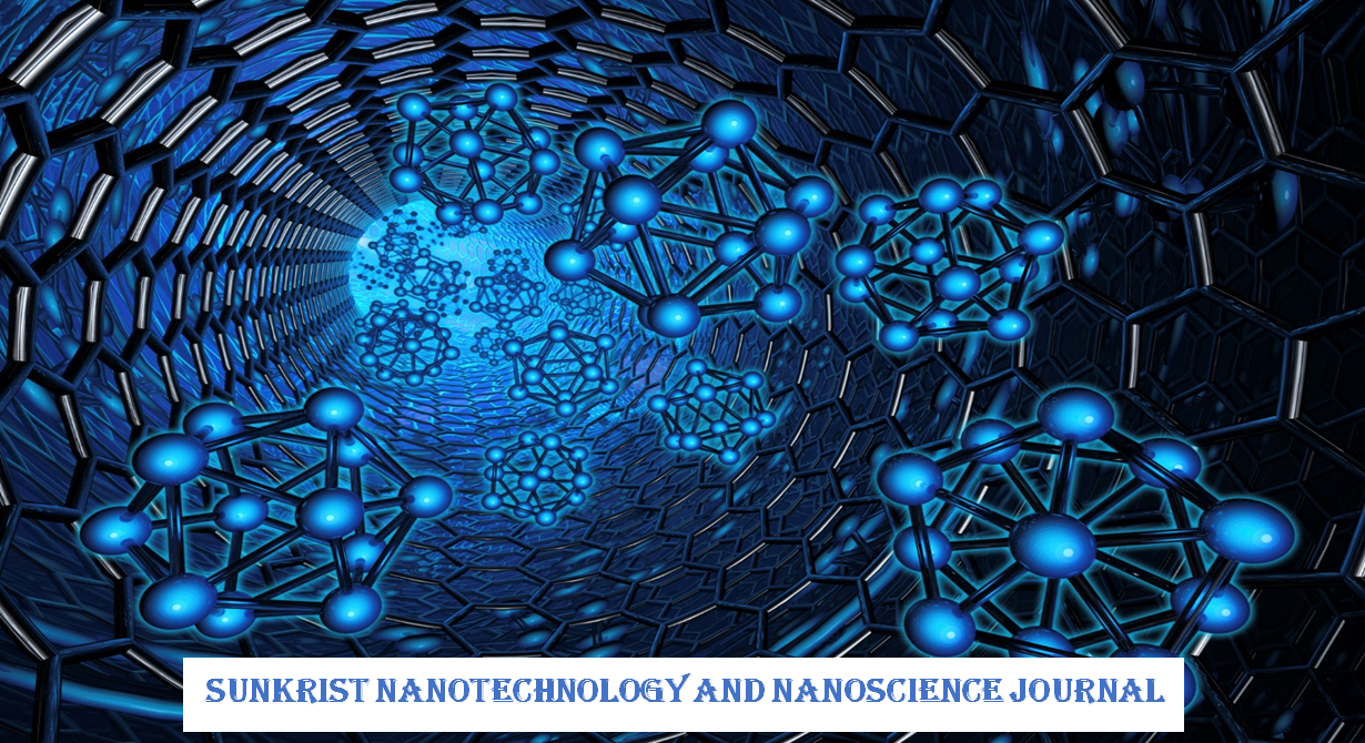 SunKrist Nanotechnology and Nanoscience Journal 